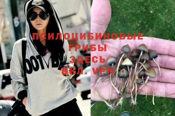 бутират Богданович