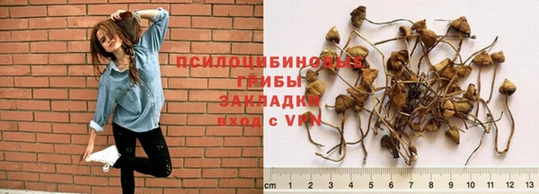 бутират Богданович